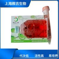 SH-SY5Y细胞hPLA2G6基因敲除株