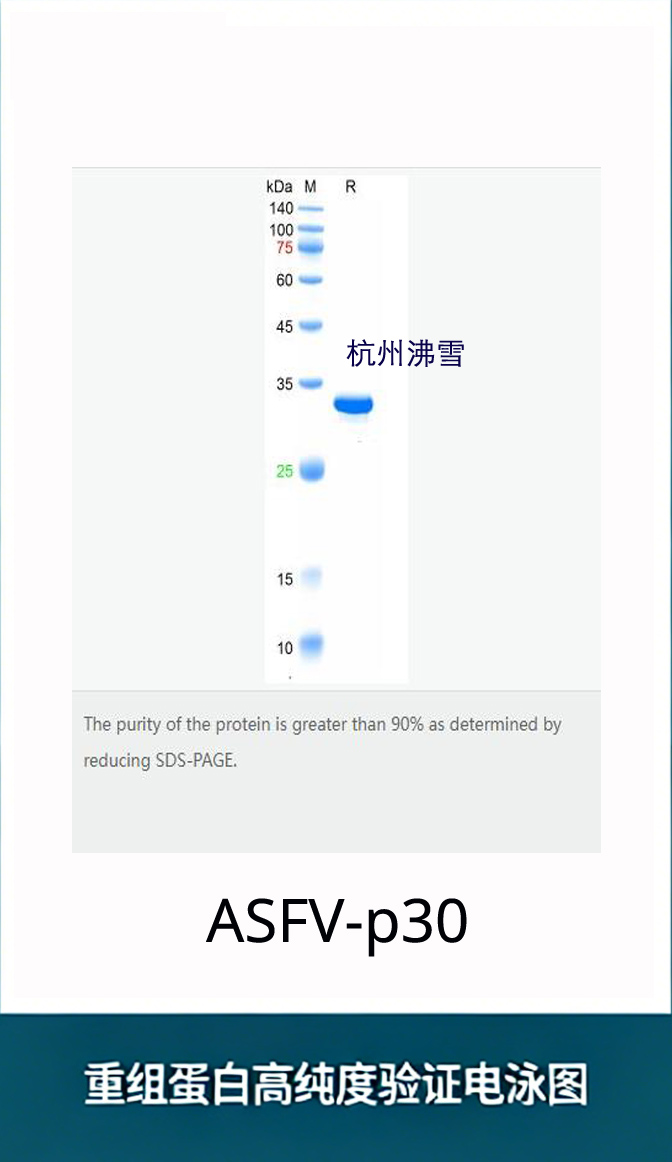 新闻图片1