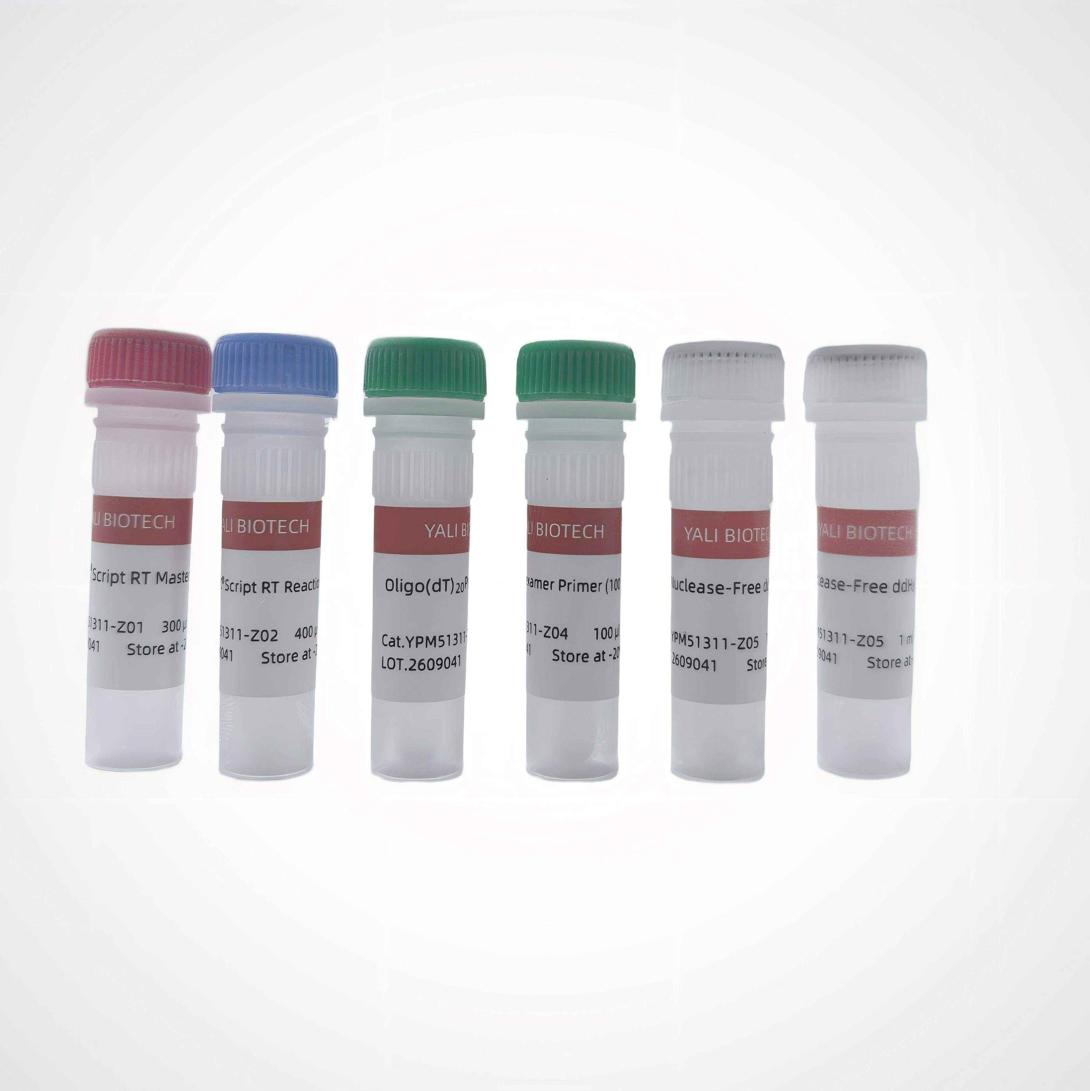 一步gDNA去除及第一链cDNA合成试剂盒 | 引物独立可选(qPCR/PCR通用)