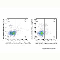 KLRG1 Syrian hamster mAb (PE),ExactAb™, 已验证, Ex:565nm, Em:575nm, 0.5 mg/mL,阿拉丁