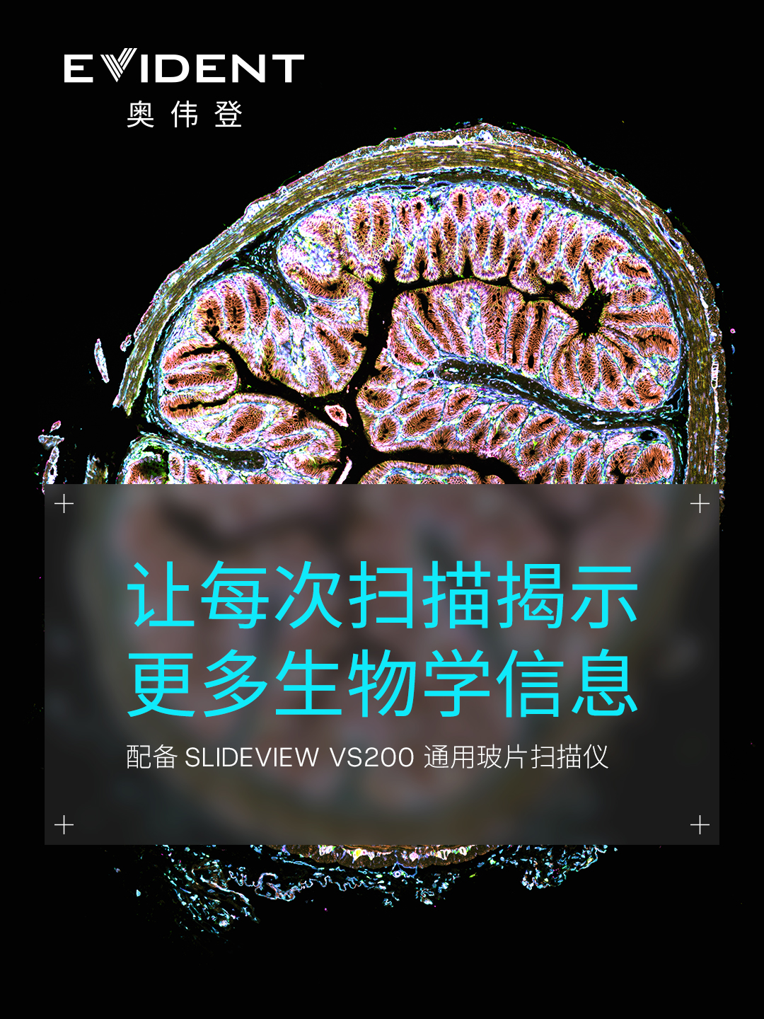 Evident-SlideviewVS200_1080x1440_1 拷贝.jpg