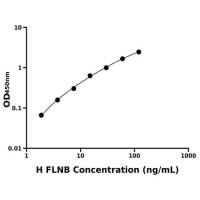 人丝蛋白B(FLNB)ELISA试剂盒