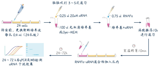 产品细节图片1