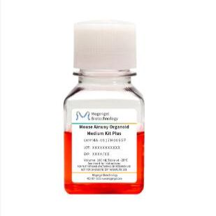 小鼠气管类器官培养基套装Plus