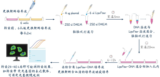 产品细节图片1