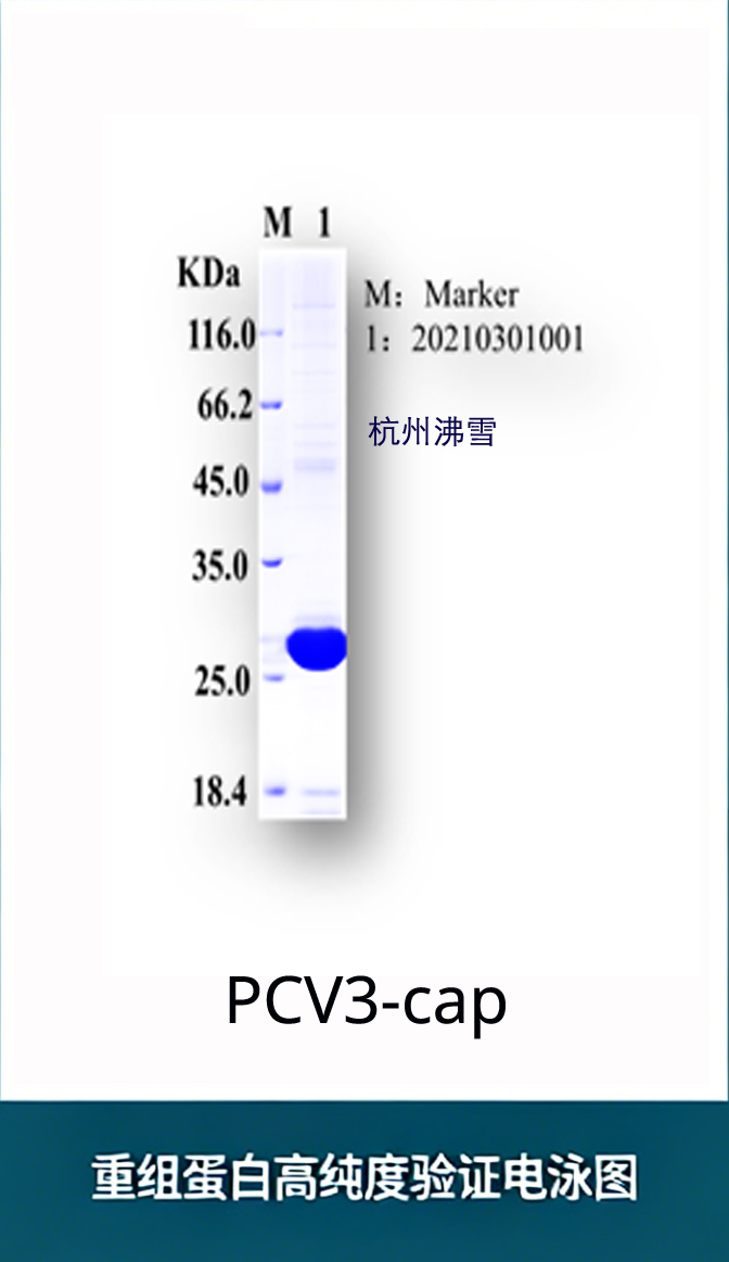 新闻图片1