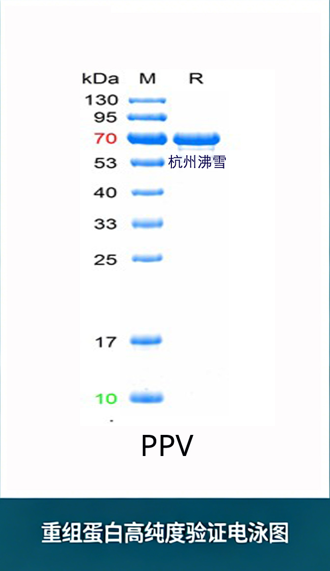 新闻图片1