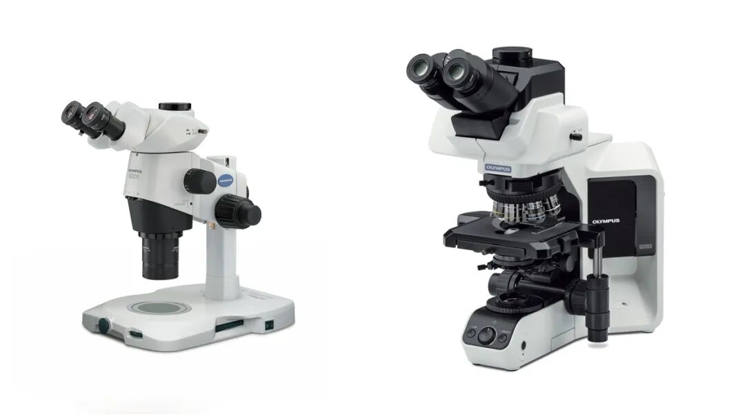 Left is the SZX16 stero microscope and right is the BX53 upright microscope