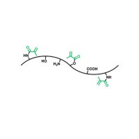 甲基丙烯酰化明胶 (GelMA) ,BioReagent,凝冻强度250 Bloom g; 取代度55%-65%; 甲基丙烯酸残留≤100 ppm;,阿拉丁