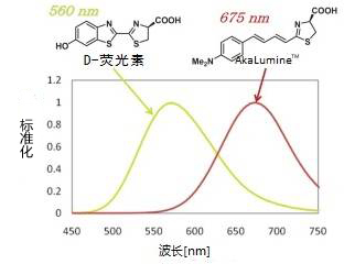 1615344116314591.jpg 图片2.jpg