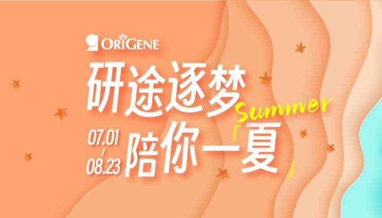 研途逐梦·陪你一「夏」