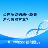 蛋白质琥珀酰化修饰怎么选择方案?