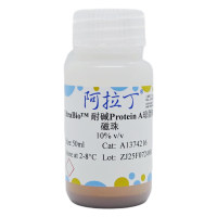 UltraBio™ 耐碱Protein A琼脂糖磁珠,BioReagent,阿拉丁