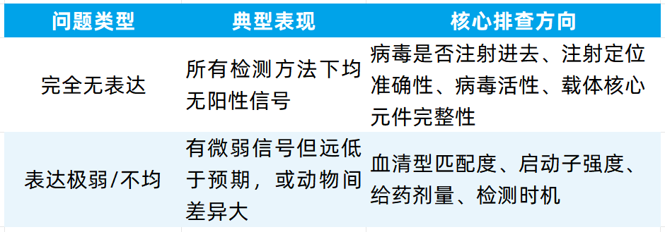 【实操指南】rAAV注射后无表达/表达弱？上游核心诱因全梳理（上篇）