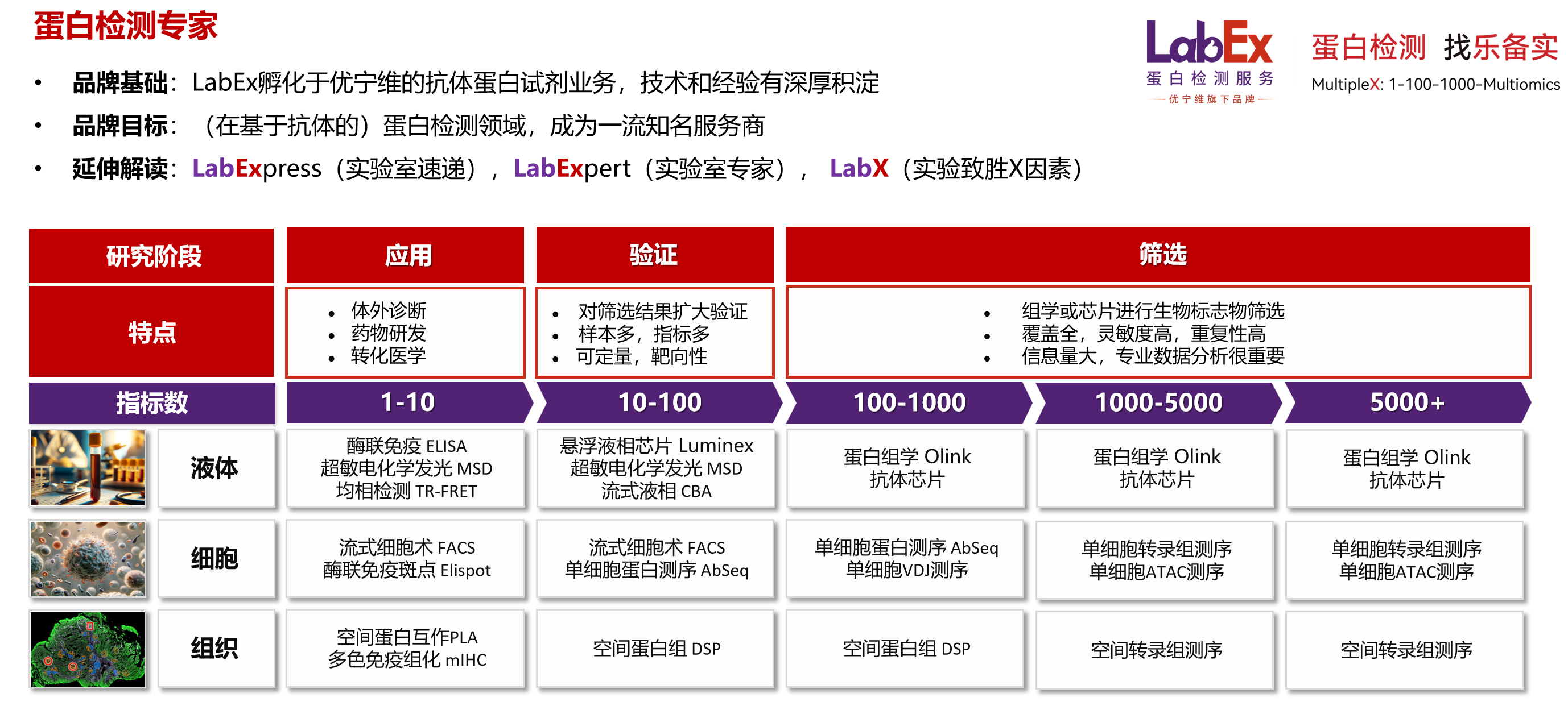 新闻图片2