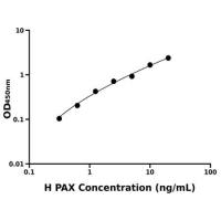 人桩蛋白(PAX)ELISA试剂盒