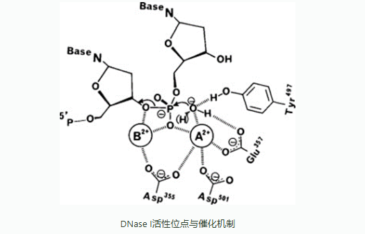 新闻图片2