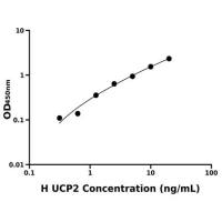 人线粒体解偶联蛋白2(UCP2)ELISA试剂盒
