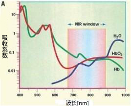 1615344116501180.jpg 图片3.jpg
