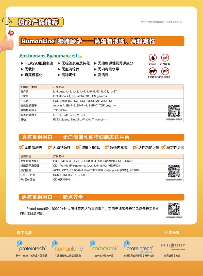 新闻图片2