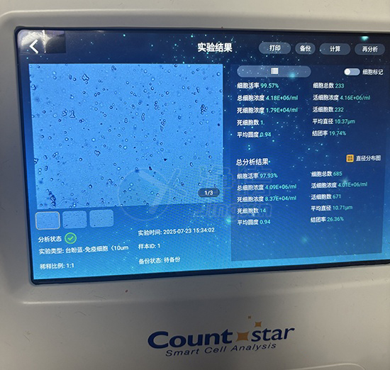 新闻图片4