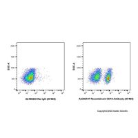 Recombinant CD19 Antibody (AF488),ExactAb™,已验证,重组,0.5 mg/mL,阿拉丁