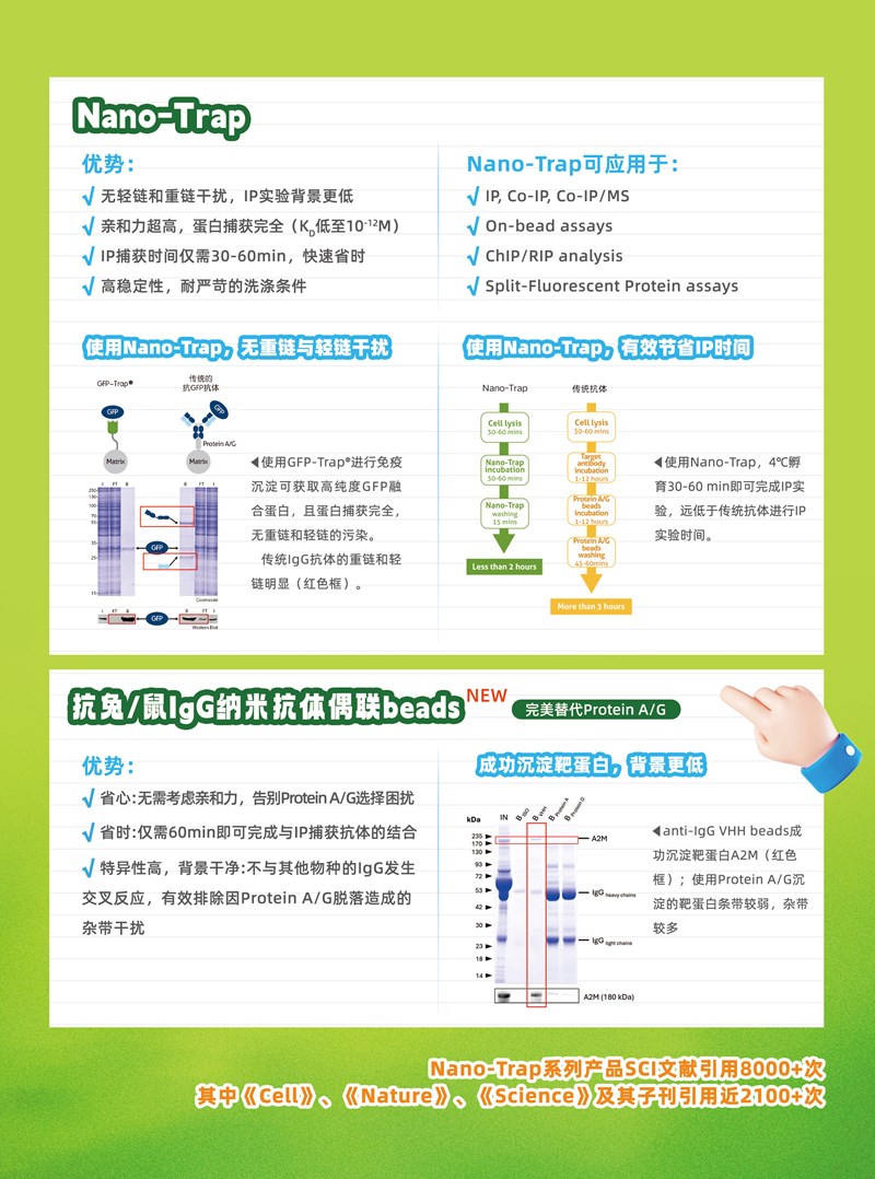 新闻图片2