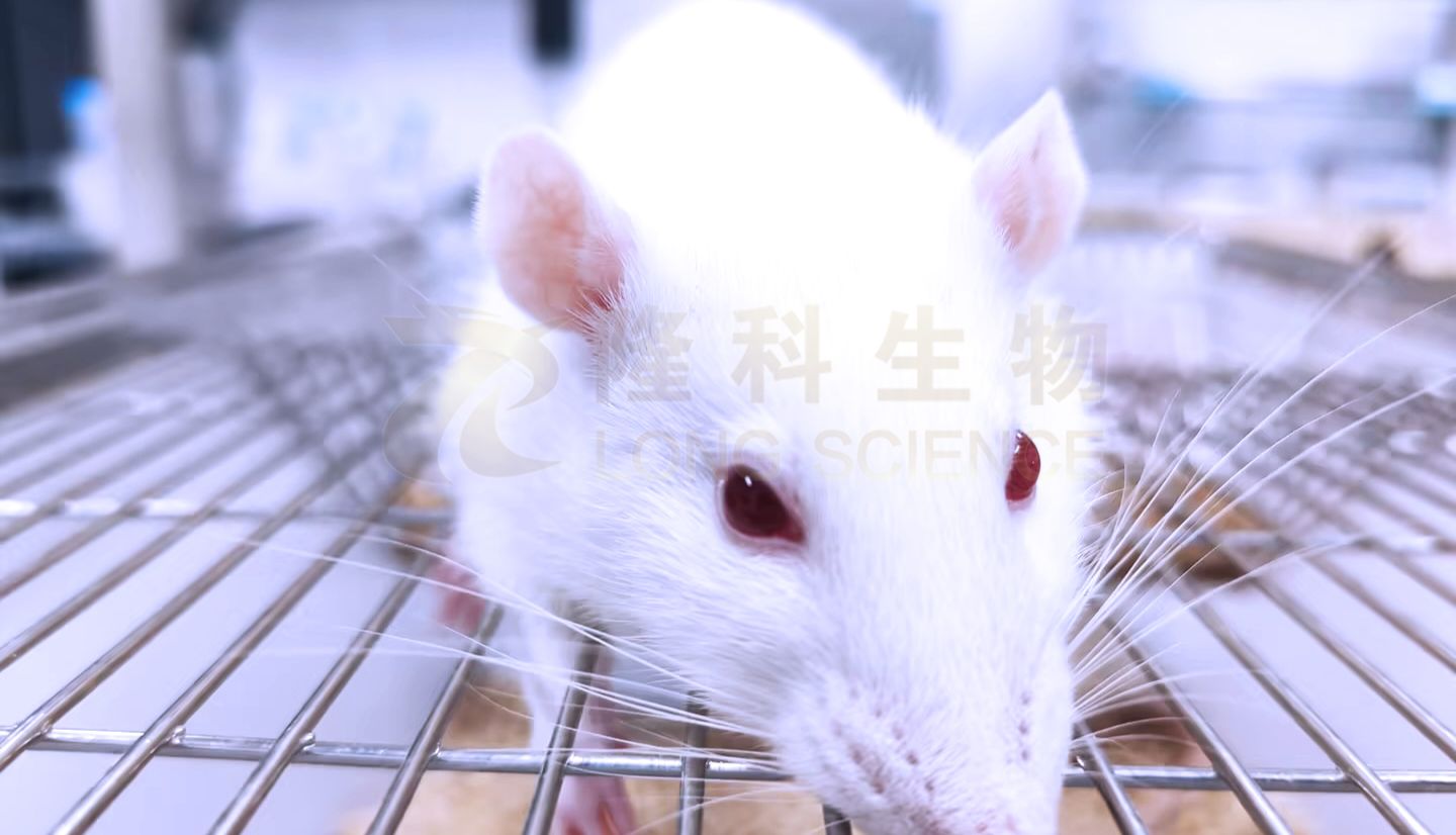 焦虑还是抑郁？旷场实验：动物的“情绪体检”比想象中更直接