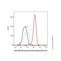 Recombinant CD34 Antibody (PE-Cy7),ExactAb™, 已验证, 1 μL/test,阿拉丁