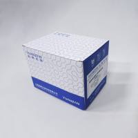 高纯度快速质粒小提中量试剂盒（柱式法）2次洗涤（15ml）