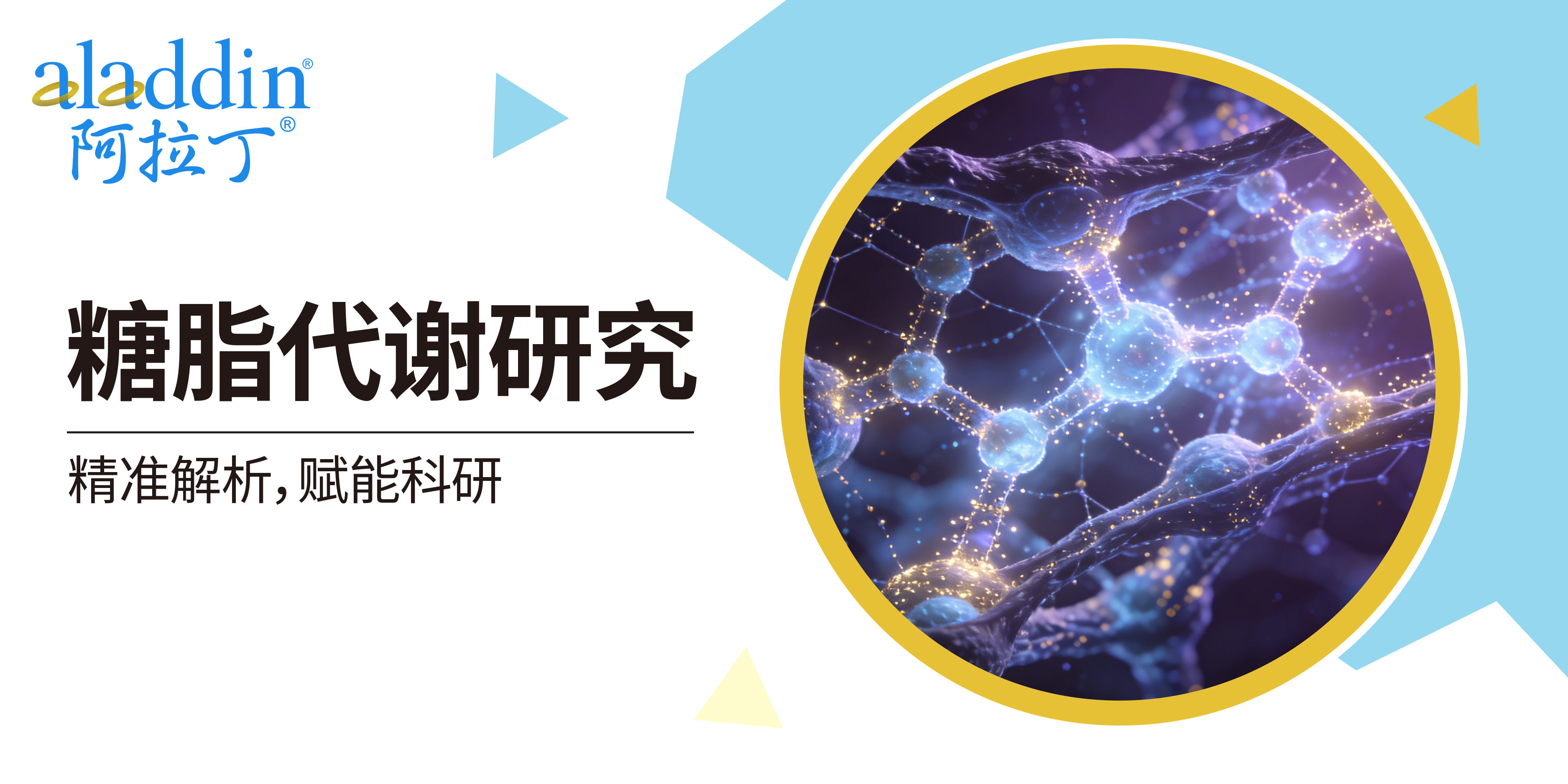 【阿拉丁】糖脂代谢交叉调控与代谢性疾病发生发展的分子机制