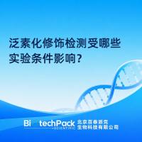 泛素化修饰检测受哪些实验条件影响？
