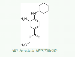 为什么Ferrostatin-1能成为铁死亡研究的shou选工具化合物？