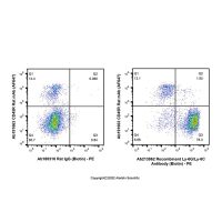 Recombinant Ly-6G/Ly-6C Antibody (Biotin)，ExactAb™, 已验证, 0.5 mg/mL，阿拉丁