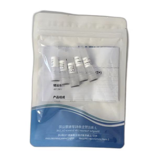 2×Fast Pfu Master Mix (Quick Load)*5