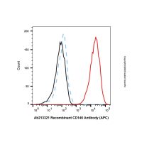 Recombinant CD146 Antibody (APC)，ExactAb™, 已验证, 0.5 mg/mL，阿拉丁