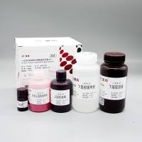 PG220 Omni-Easy™一步法免染PAGE凝胶快速制备试剂盒（6%）