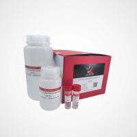 组织样本DNA/RNA保存管