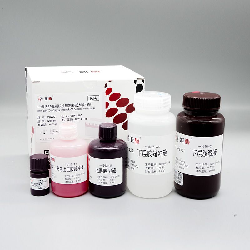 PG222 Omni-Easy™一步法免染PAGE凝胶快速制备试剂盒(10%)