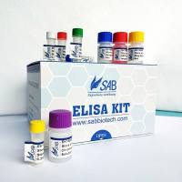 Human Bone morphogenetic protein receptor type-1A ELISA Kit
