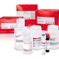 Sigma-Aldrich货号CAT100-1KT过氧化氢酶检测试剂盒(Catalase Assay Kit)上海睿安生物19121878899默克Merck-Millipore-Sigma-Roche官方正式授权代理商