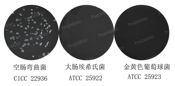 CCDA琼脂培养基的原理及使用方法