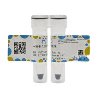 Anti-HA 纳米抗体磁珠，BioReagent, Magnetic Bead Content: ≥10 mg/mL; Bead Diameter: 2 μm，阿拉丁