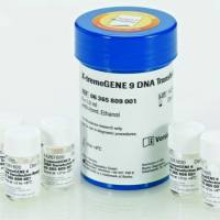 Roche货号6365787001与6365809001现货X-tremeGENE™ 9 DNA Transfection Reagent上海睿安生物19121878899默克Merck-Millipore-Sigma-Roche官方正式授权代理商