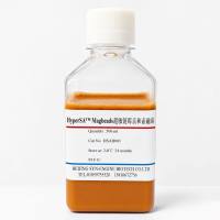 HyperSA™ Magbeads超敏链霉亲和素磁珠