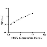 人S-期激酶关联蛋白2(SKP2)ELISA试剂盒
