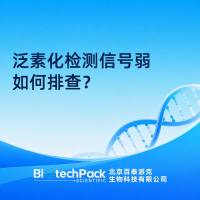 泛素化检测信号弱如何排查？