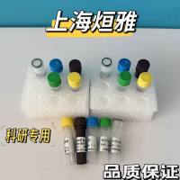 西尼-罗河病毒(WNV)核酸检测试剂盒(荧光PCR法)