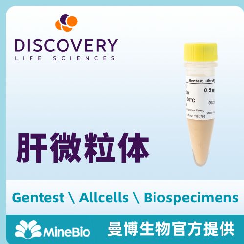 人肝微粒体 代谢重组酶 Gentest系列-DLS品牌
