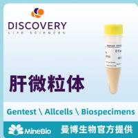 人肝微粒体 代谢重组酶 Gentest系列-DLS品牌